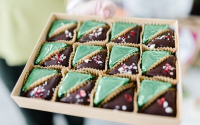 dark chocolate protects brain from stroke effects