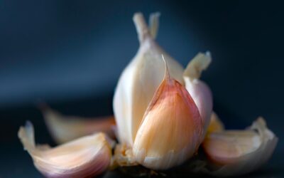 garlic lowers lung-cancer risk