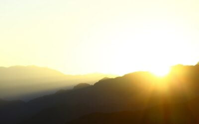 Vitamin D may slow cognitive decline